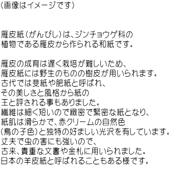 �i�摜�̓C���[�W�ł��j�@�@�@�@�@�@�@�@�@    ��玆�i����҂��j�́A�W���`���E�Q�Ȃ� �A���ł����炩������a���ł��B   ���̐���͒x���͔|��������߁A ��玆�ɂ͖쐶�̂��̂̎��炪�p�����܂��B �Ñ�ł͔㎆��쎆�ƌĂ΂�A ���̔������ƕ��i���玆�� ���ƕ]����鎖������܂����B �@�ۂׂ͍��Z���̂��k���ŋٖ��Ȏ��ƂȂ�A �����͊��炩�ŁA�ԃN���[���̎��R�F �i���̎q�F�j�ƓƓ��̍D�܂��������L���Ă��܂��B ��v�Œ��̊Q�ɂ������̂ŁA �×��A�M�d�ȕ�������D�ɗp�����܂����B ���{�̗r�玆�ƌĂ΂�邱�Ƃ�����l�ł��B