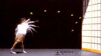 丈夫な障子紙も色々あります